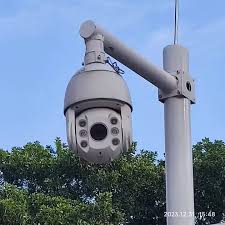 Cámara IP PTZ WizSense IR Starlight de 4MP y 25x SD6C3425XB-HNR-A-PV1